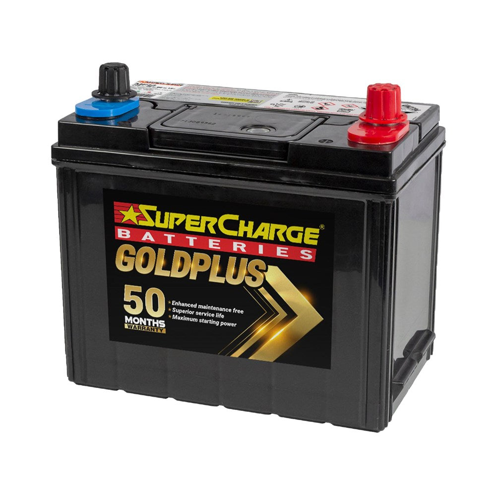 SuperCharge MF43 GoldPlus Maintenance-Free 12V Battery (Pickup Only)