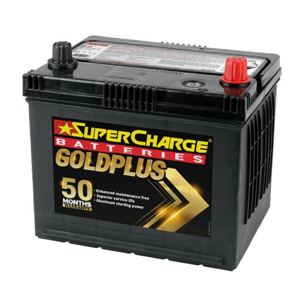 SuperCharge MF53 GoldPlus Maintenance-Free 12V Battery (Pickup Only)
