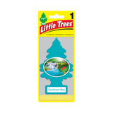 Little Trees Air Freshener - Rain Forest Mist 10106