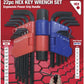 PKTool 22 Piece Metric & SAE Hex Key Wrench Set with Handle and Case - PT30500