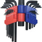 PKTool 22 Piece Metric & SAE Hex Key Wrench Set with Handle and Case - PT30500